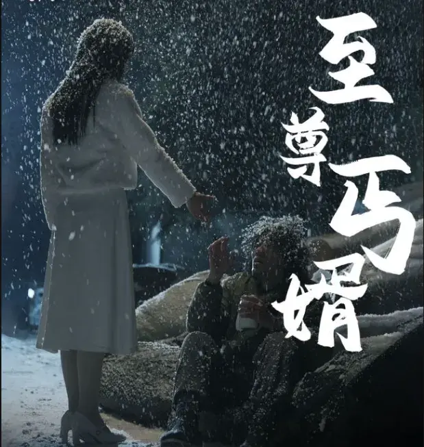 至尊丐婿0
