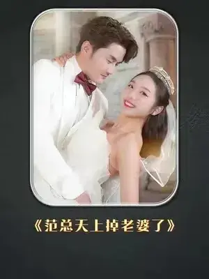 范总天上掉老婆了0