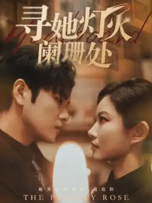 寻她灯火阑珊处0
