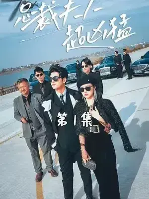 总裁夫人超凶猛0