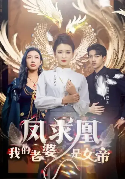 凤求凰我的老婆是女帝0