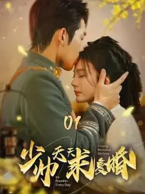 少帅天天求复婚0