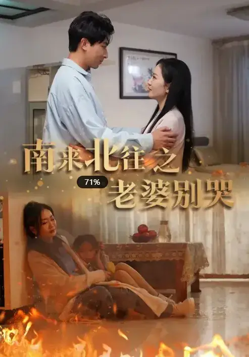 南来北往之老婆别哭0