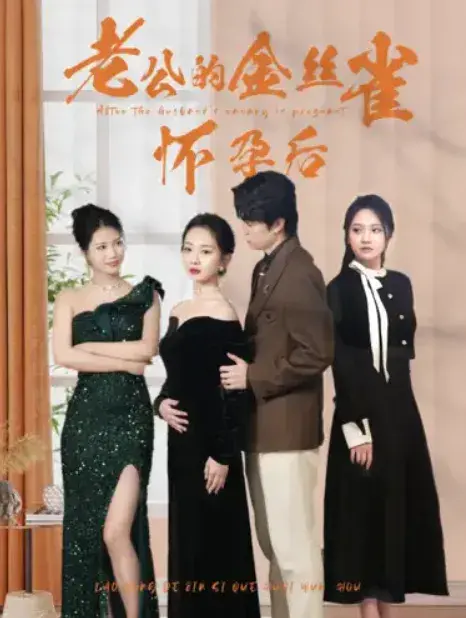 老公的金丝雀怀孕后0