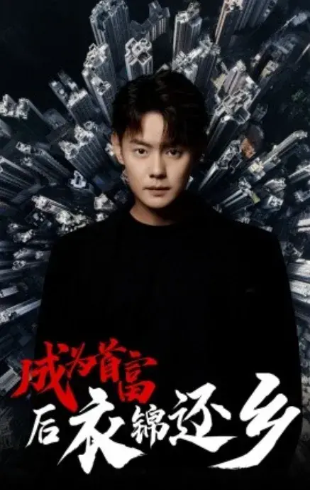 成为首富后衣锦还乡0