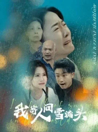 我寄人间雪满头0