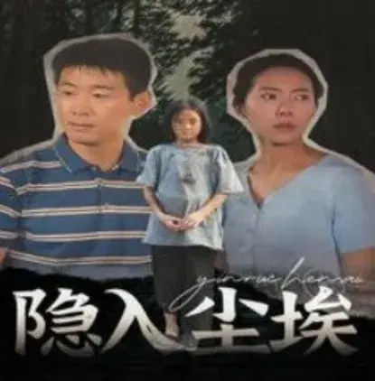 隐入尘埃0