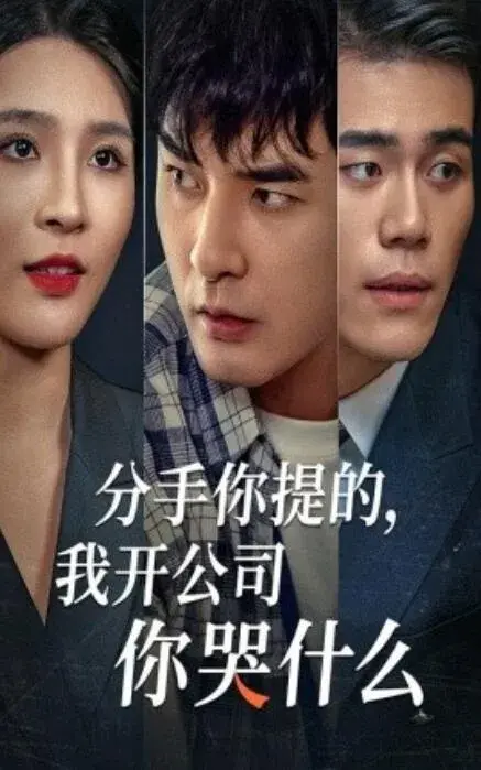 分手你提的，我开公司你哭什么0