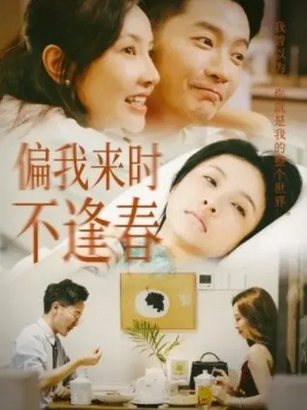 偏我来时不逢春0