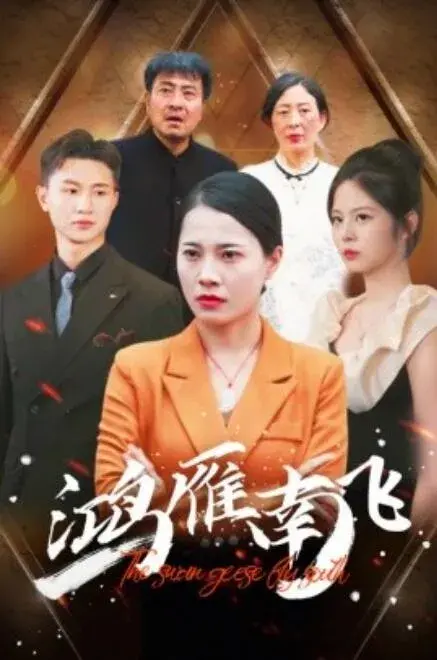 鸿雁南飞0