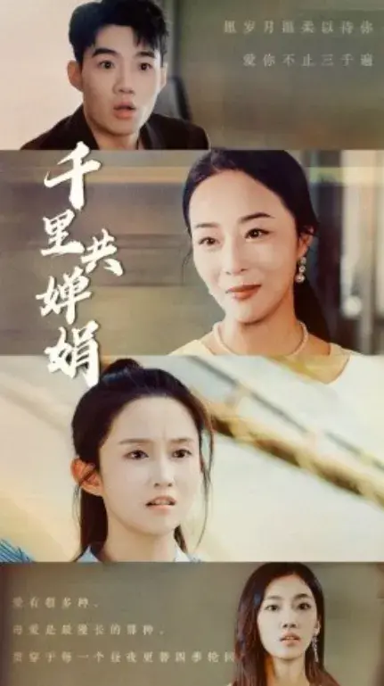 千里共婵娟0