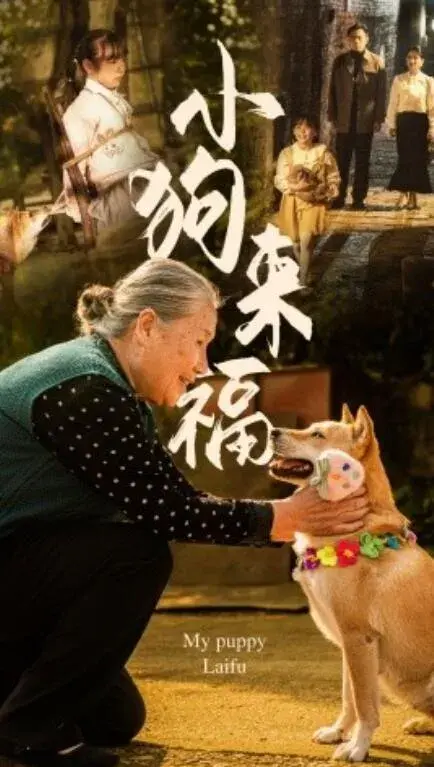 小狗来福0