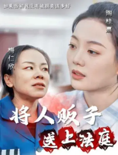 将人贩子送上法庭0