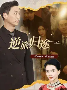 逆旅归途0