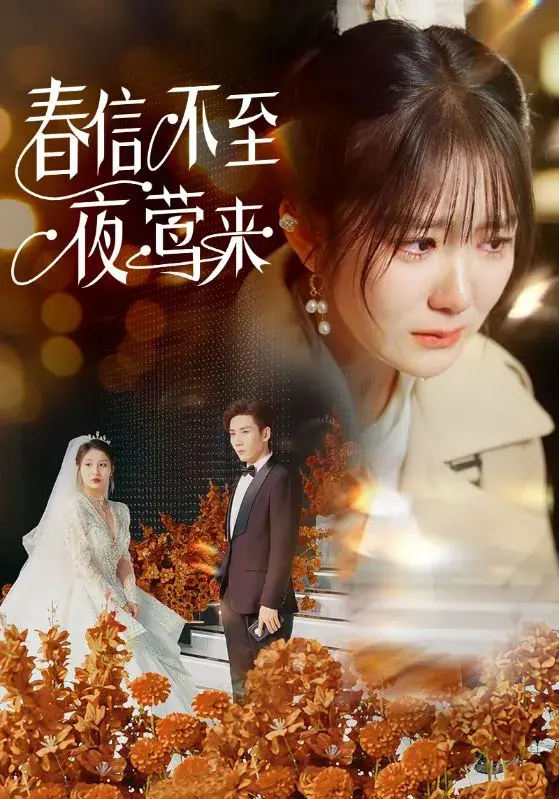 春信不至夜莺来0