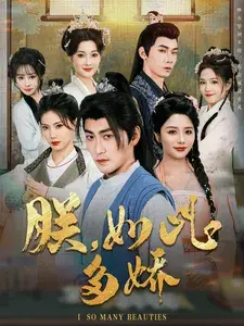 朕如此多娇0