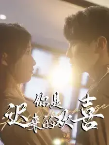你是迟来的欢喜0