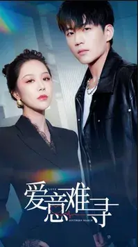 爱意难寻0