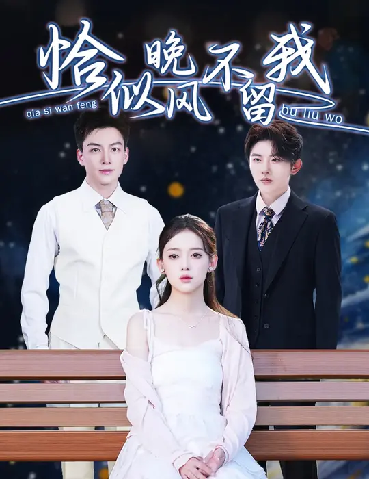 恰似晚风不留我＆弃他如风0