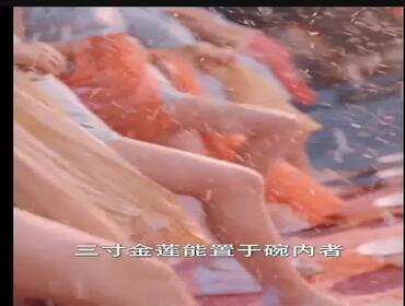 逼我当通房，我夺你主母之位＆我以胭脂覆山河