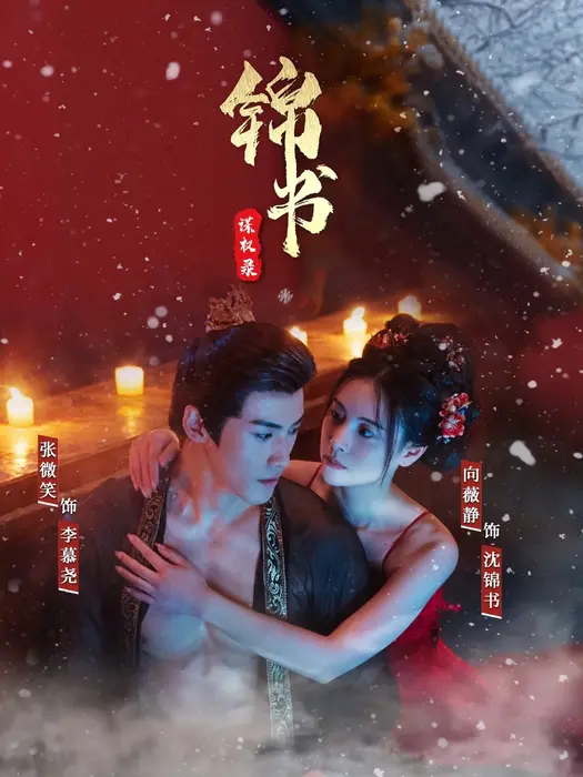 锦书谋权录0