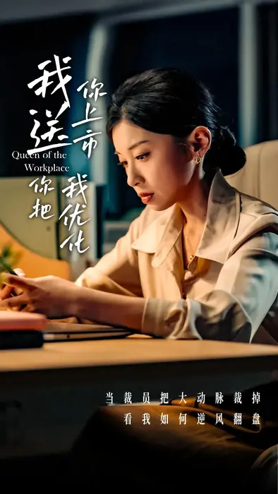 我送你上市你把我优化0