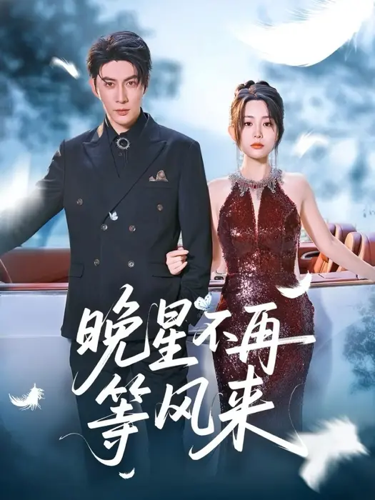 晚星不再等风来0
