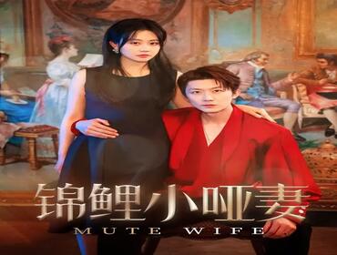 锦鲤小哑妻