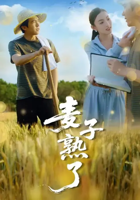麦子熟了0