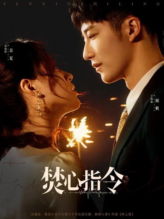 焚心指令0