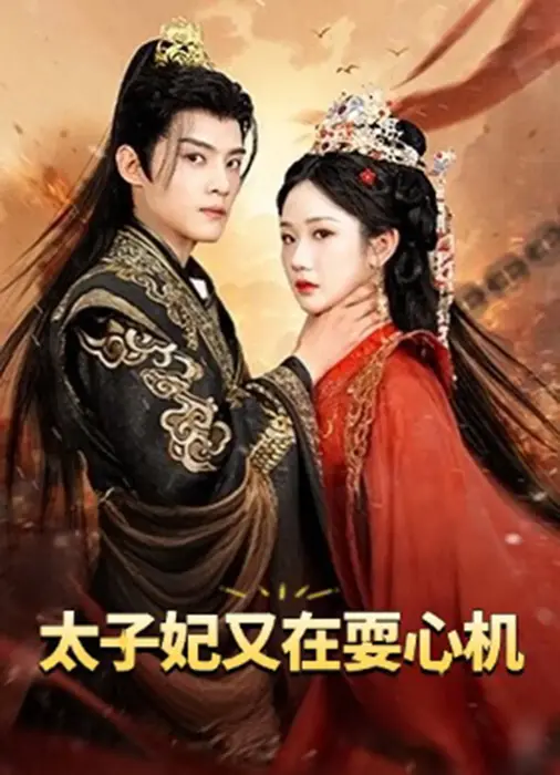 太子妃又在耍心机|人家才不是坏女人0