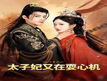 太子妃又在耍心机|人家才不是坏女人