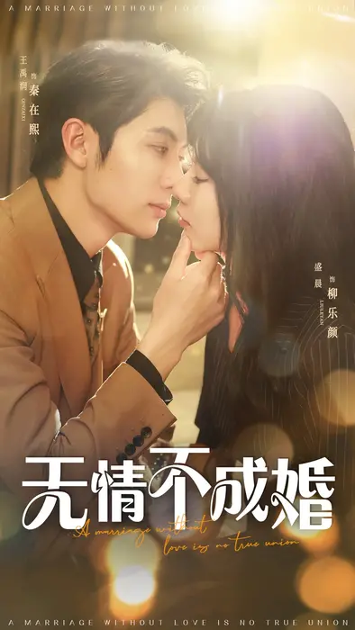 无情不成婚0