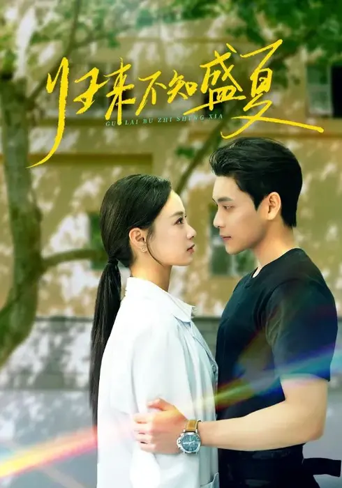 归来不知盛夏0