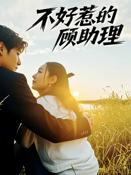 不好惹的顾助理0