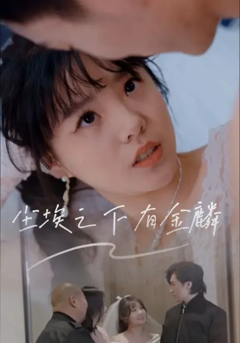 尘埃之下有金鳞0