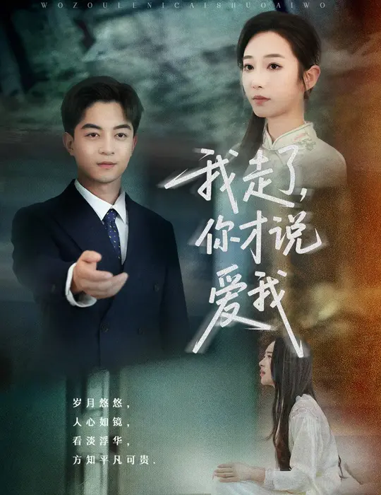 我走了你才说爱我0
