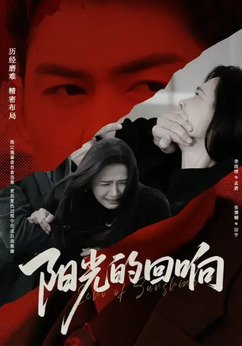 阳光的回响0