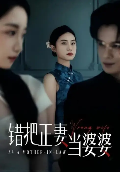 错把正妻当婆婆0