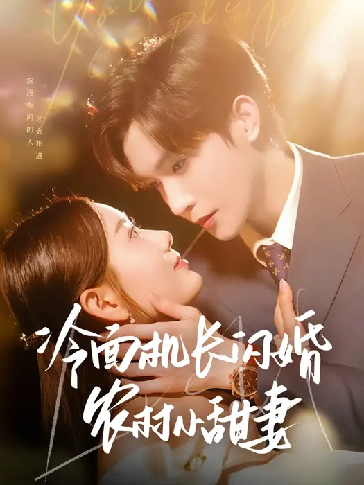 冷面机长闪婚农村小甜妻0