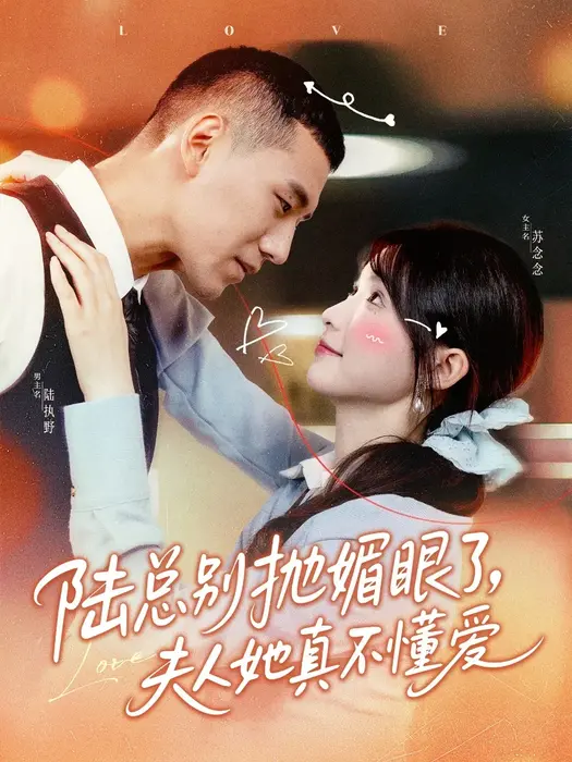 陆总别抛媚眼了夫人她真不懂爱0