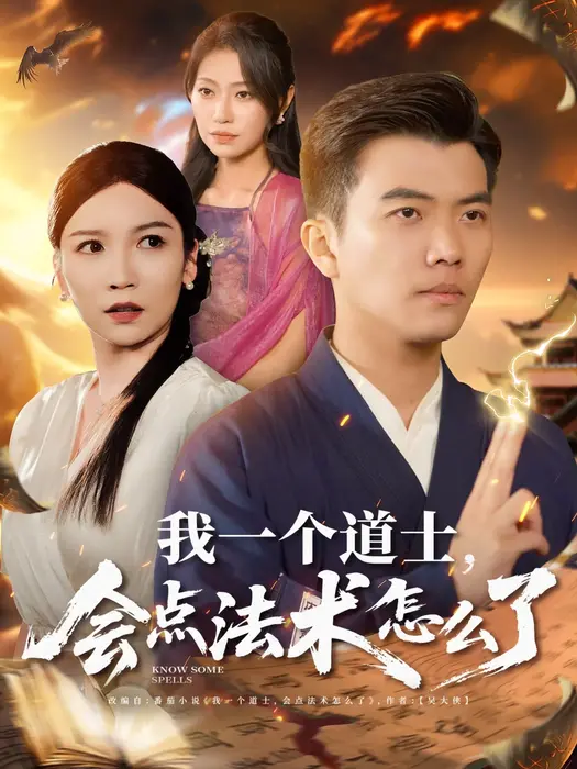 我一个道士，会点法术怎么了0