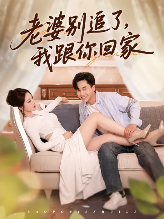 老婆别追了，我跟你回家0