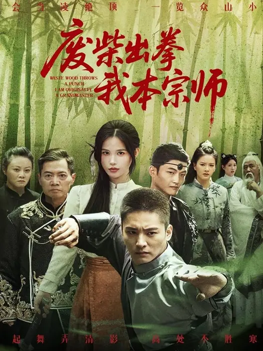 废柴出拳我本宗师0